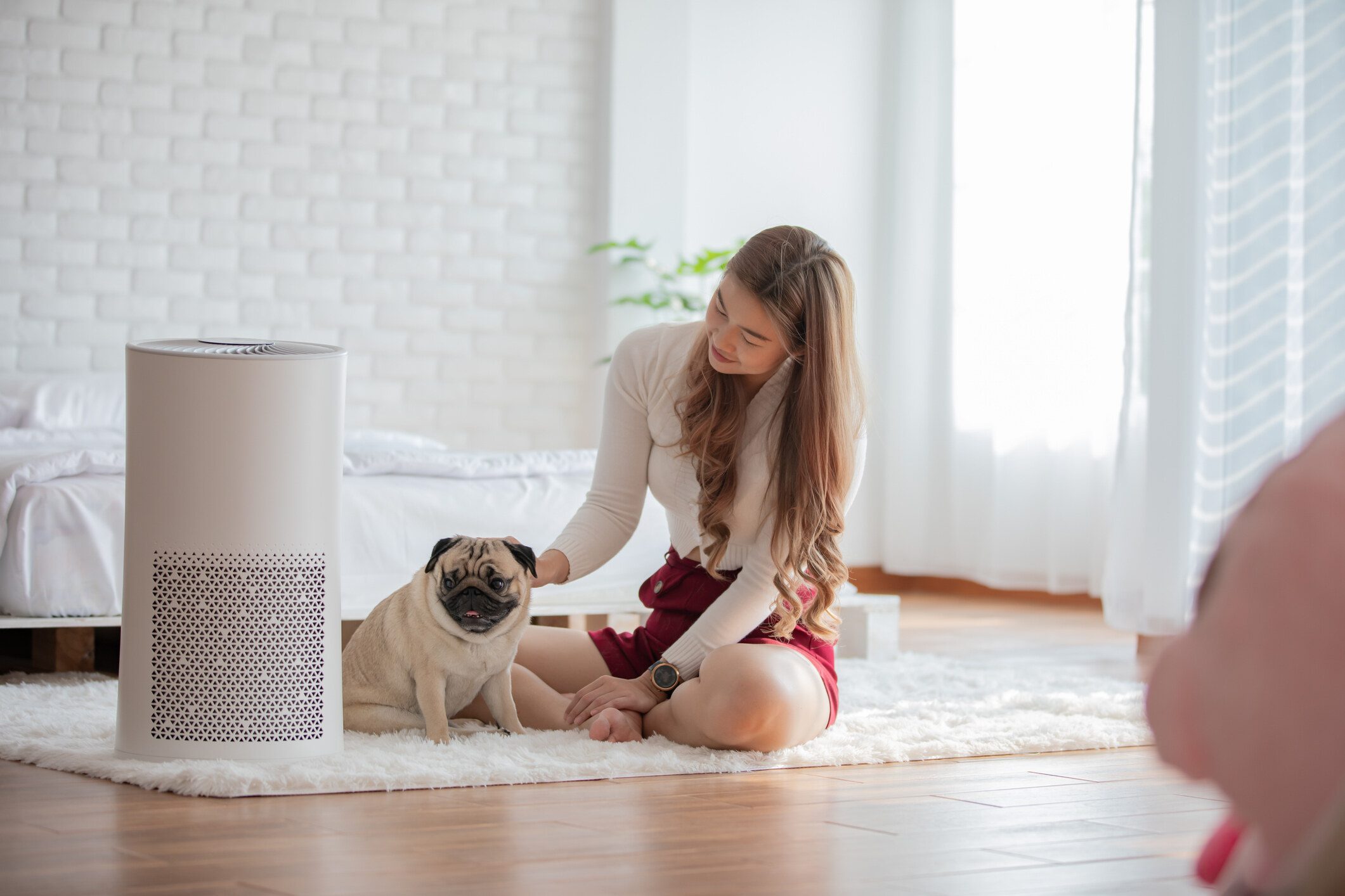 消委會空氣清新機|小型更適合香港家居!8大品牌型號:Philips/Dyson/小米等 消委會空氣清新機|小型更適合香港家居!8大品牌型號:Philips/Dyson/小米等