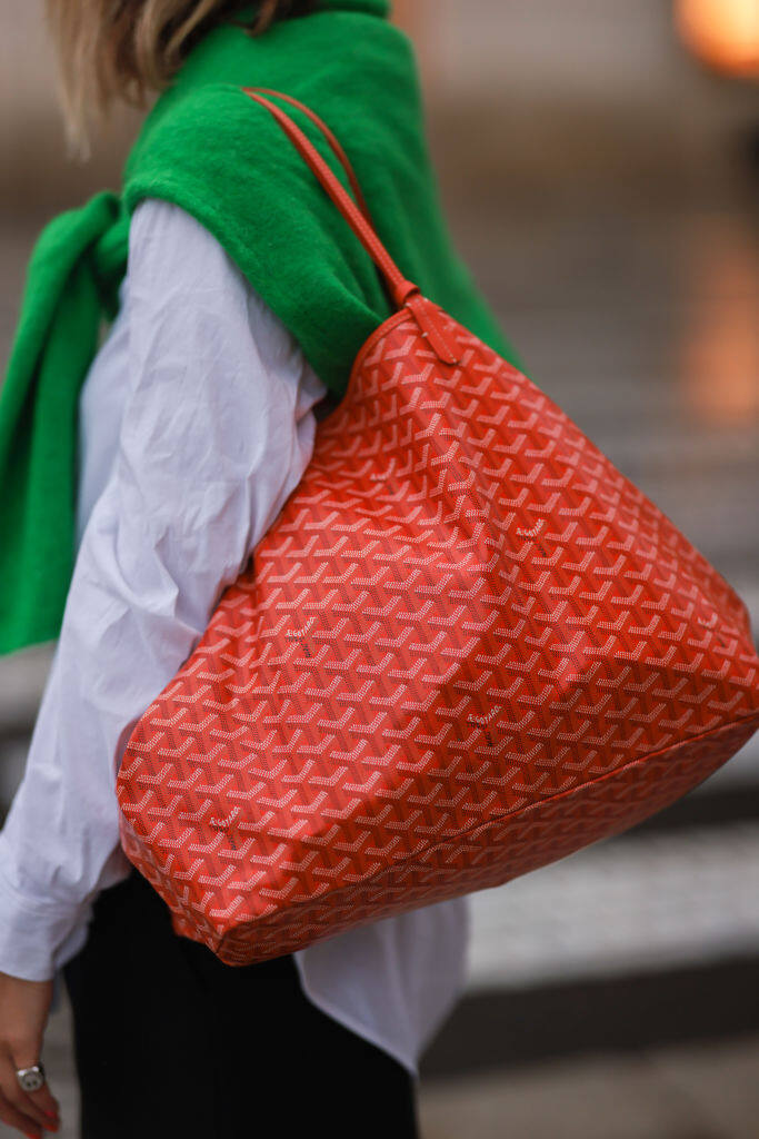 Goyard手袋2024｜為何Goyard一袋難求？盤點tote bag外必買手袋款式，SAÏGON、Alpin、Belvédère、Petit Flot 💓附價錢及詳細介紹