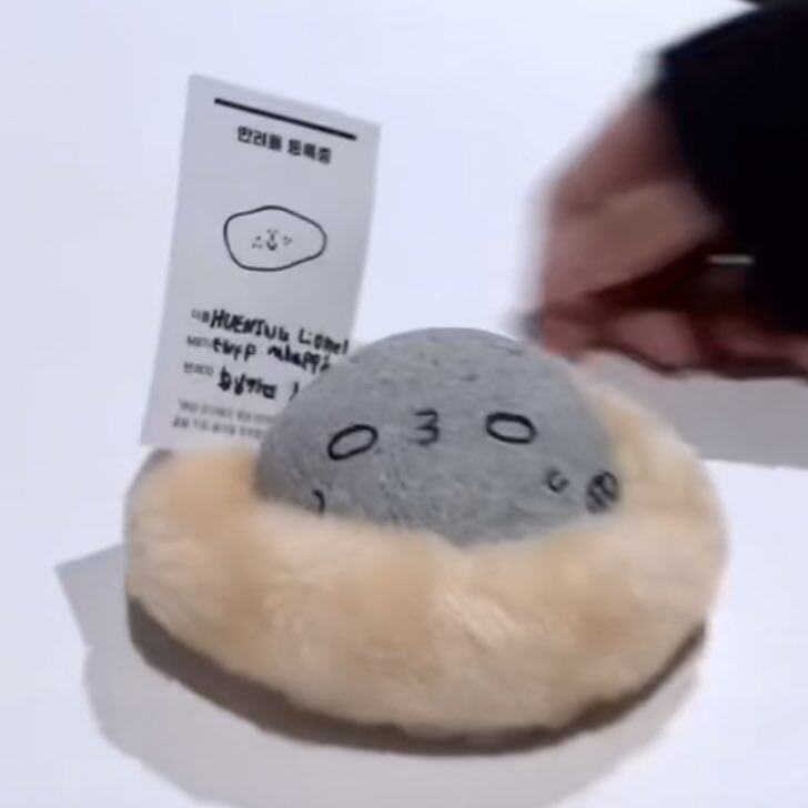 「寵物石頭」熱潮席捲韓國！Seventeen淨漢、TXT休寧凱把石頭當寵物養 為它改名扮靚尋求療癒感？