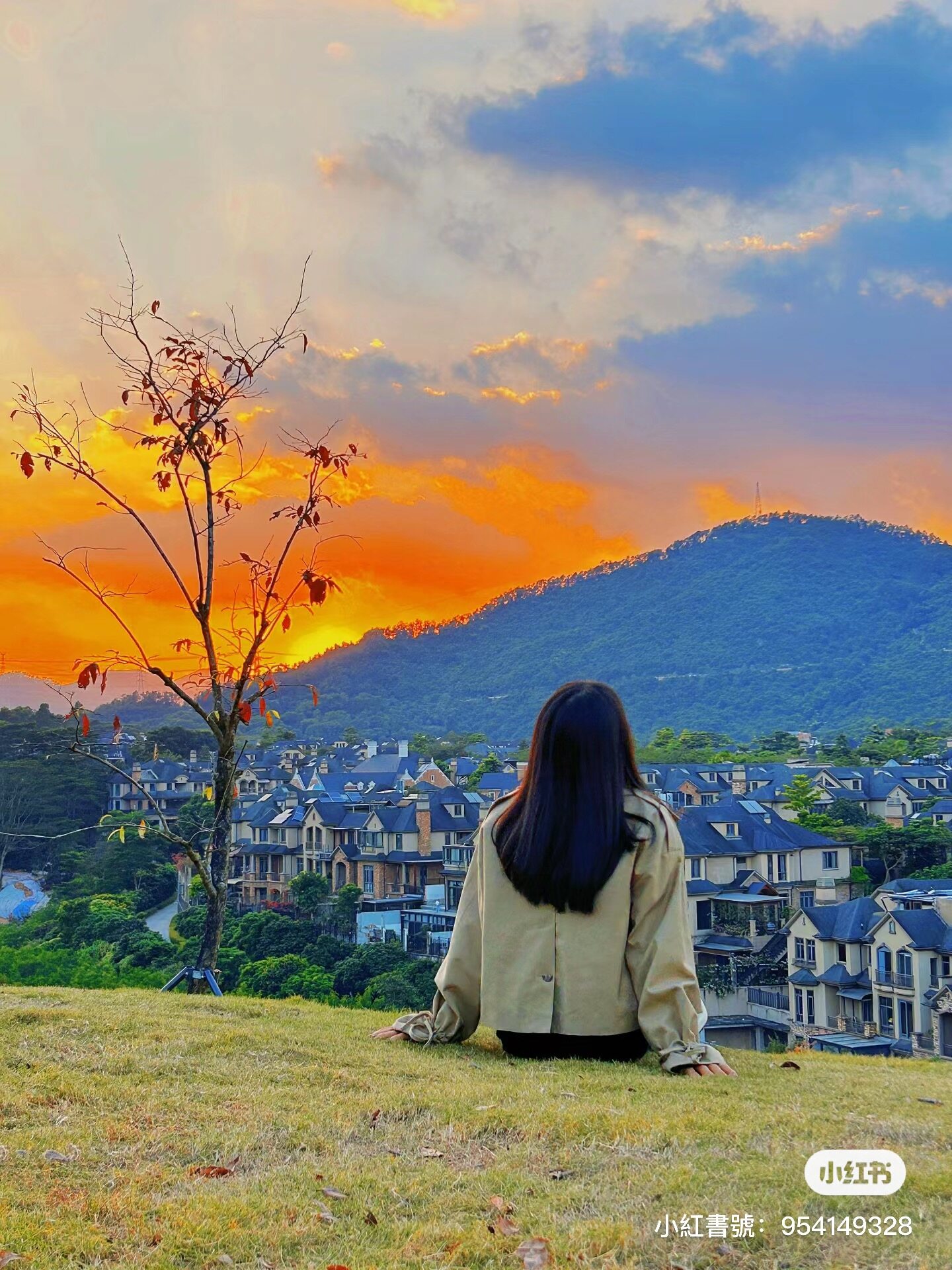 深圳打卡熱點指南｜北上快閃必睇10大最新人氣景點開箱：「小澳洲」海邊cafe、超可愛巨大化麵包