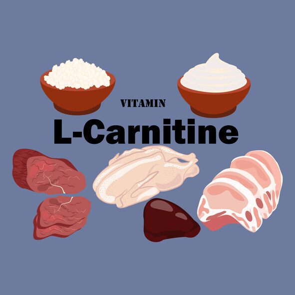 左旋肉碱功效｜燒脂增肌超有效！左旋肉碱禁忌、食用時間建議＋補充品種類對比