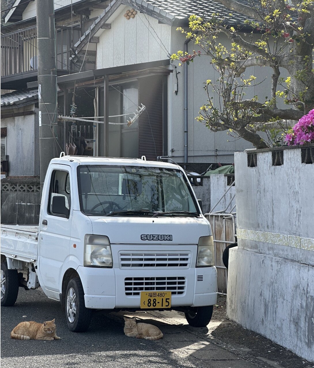 福岡景點推薦2024🇯🇵10個自由行必去打卡點地圖：酒店住宿/美食/Outlet購物/貓島/相島/近郊溫泉