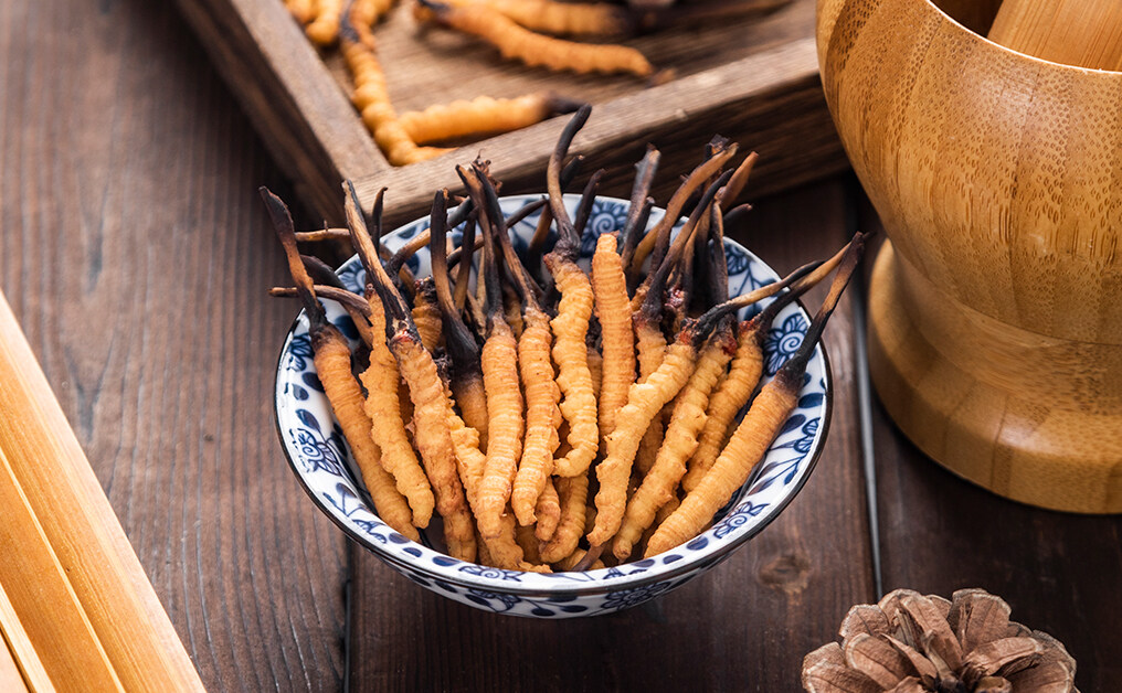 蟲草膠囊邊隻好？10大人氣推薦！教你睇成分、功效與禁忌｜何時食效果最好？