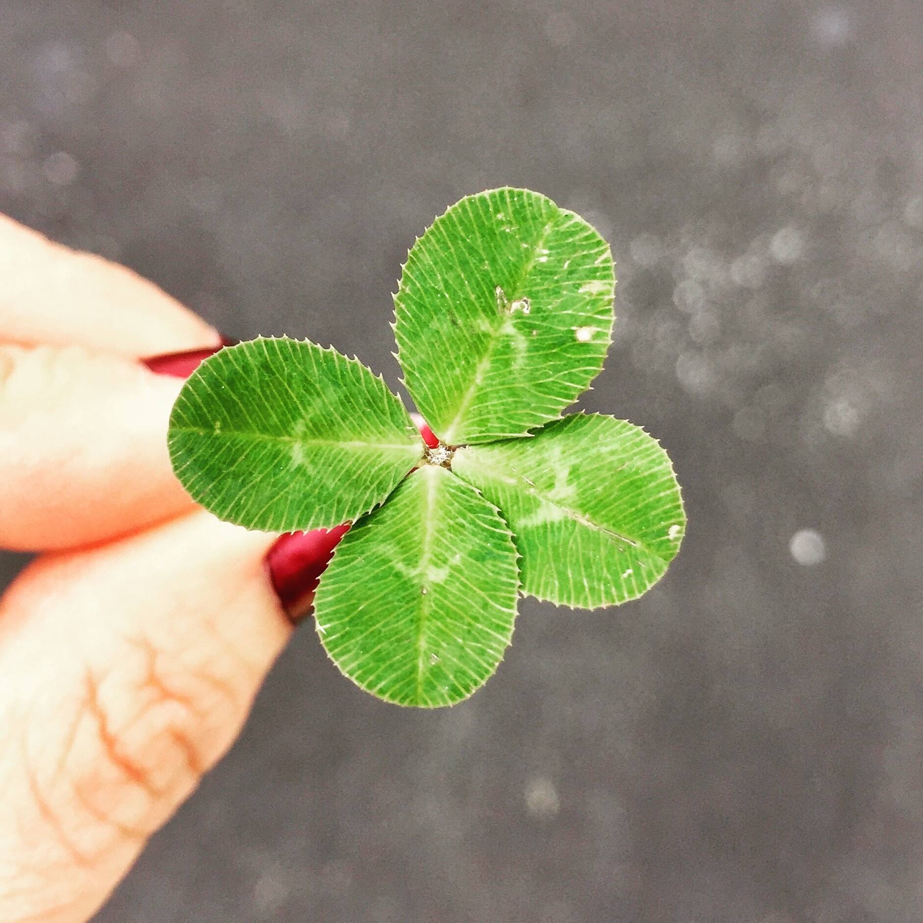眼皮跳意思｜不一定是「左吉右凶」！眼皮跳時間隱藏不同吉凶信息