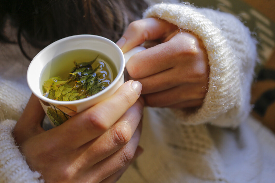 綠茶素｜綠茶素功效、吃法與禁忌：健康瘦身全攻略！