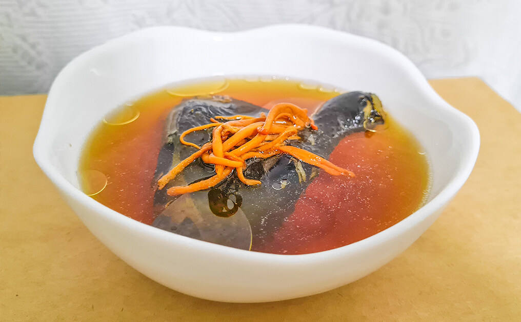 小暑湯水推薦:冬蟲夏草湯 小暑湯水推薦:冬蟲夏草湯