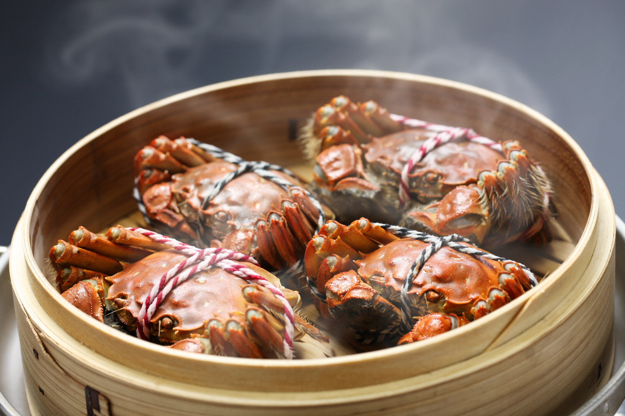 大閘蟹公乸|蟹公蟹乸分別是甚麼?專家公開最佳大閘蟹季節/蒸蟹方法/拆蟹教學 大閘蟹公乸|蟹公蟹乸分別是甚麼?專家公開最佳大閘蟹季節/蒸蟹方法/拆蟹教學