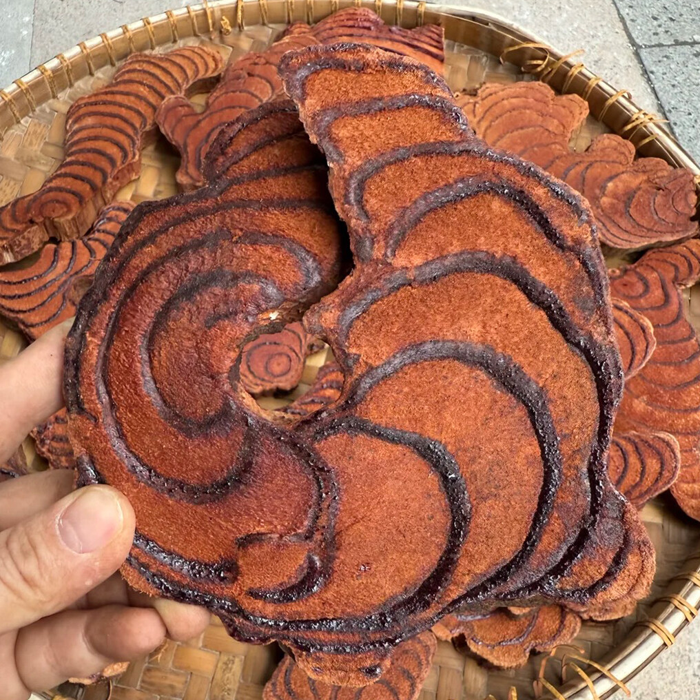 雞血藤副作用及禁忌有甚麼? 雞血藤副作用及禁忌有甚麼?