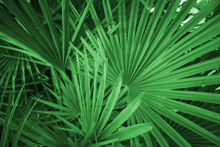 New Image