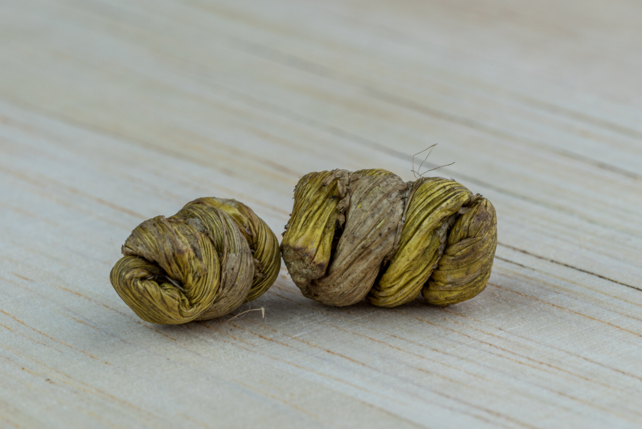 石斛功效｜鐵皮石斛和霍山石斛有甚麼分別？中醫全面講解石斛好處