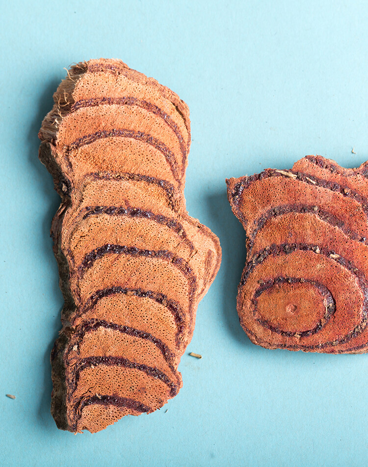 Suberect Spatholobus Stem recipe