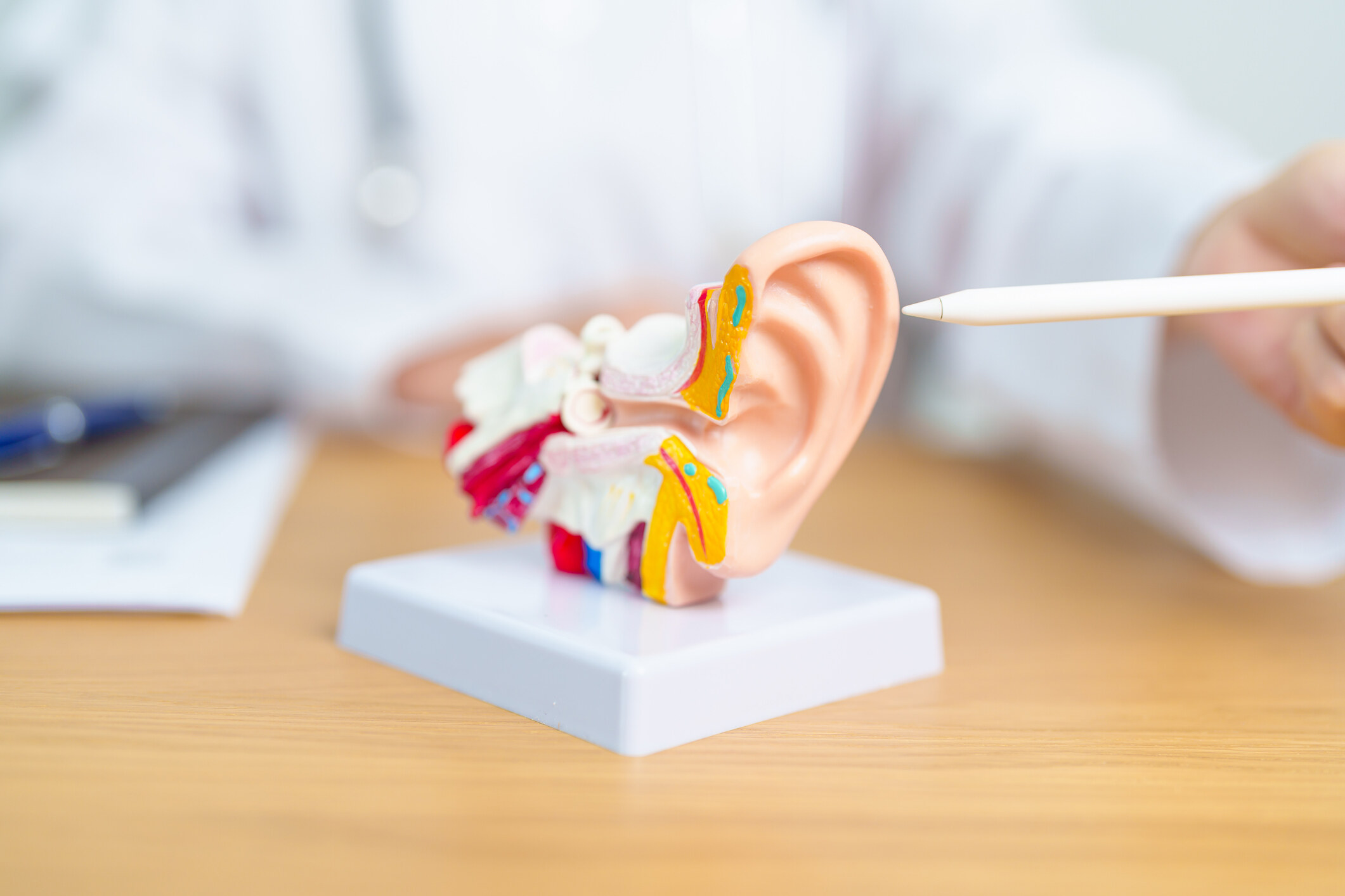 耳水不平衡｜耳鼻喉專科醫生詳解原因、症狀及解決方法