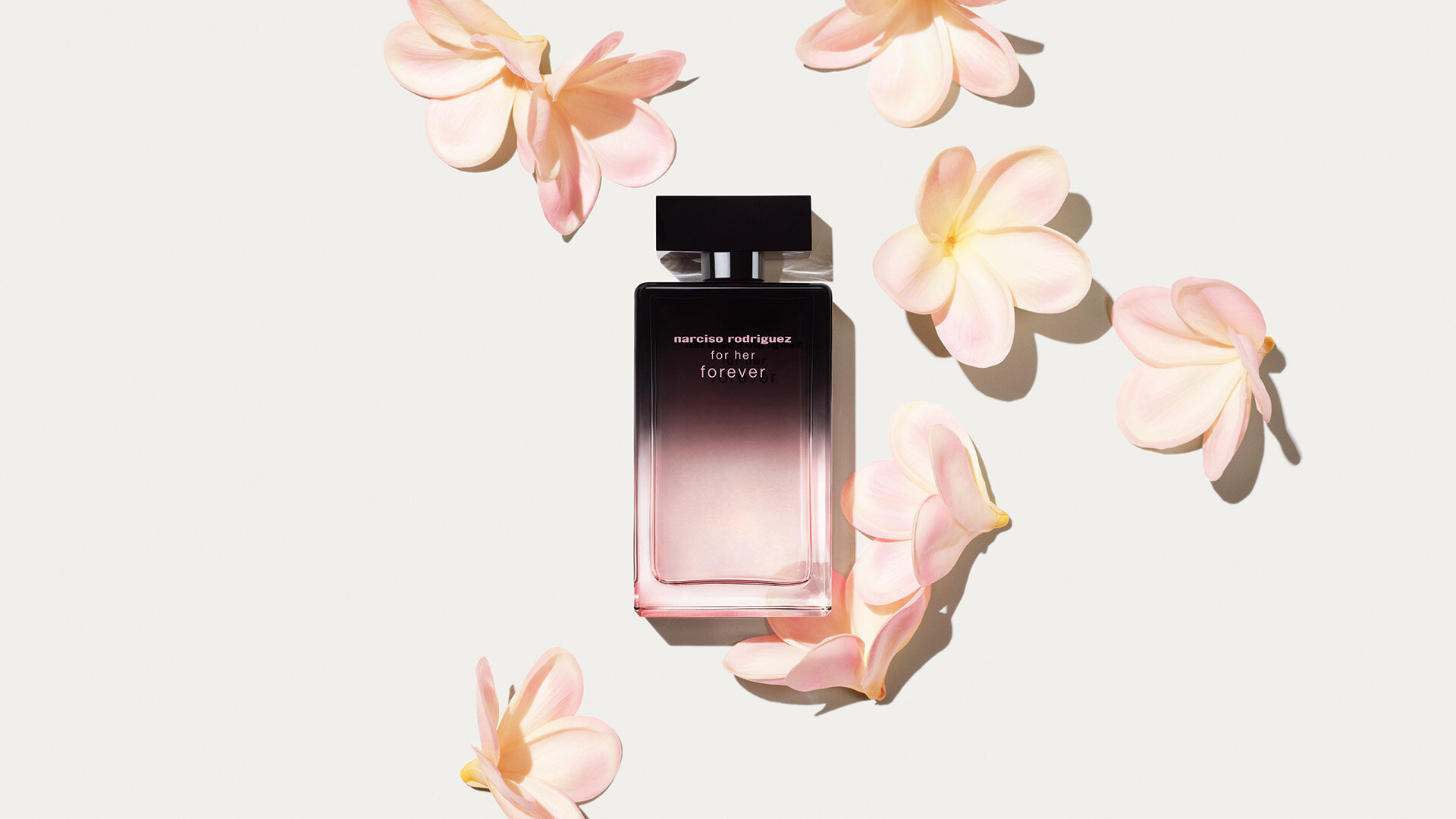 narciso rodriguez for her香氛20週年新作昇華麝香魅力!公開美編至愛3個混香配搭,避免撞香兼展現個人獨有品味! narciso rodriguez for her香氛20週年新作昇華麝香魅力!公開美編至愛3個混香配搭,避免撞香兼展現個人獨有品味!