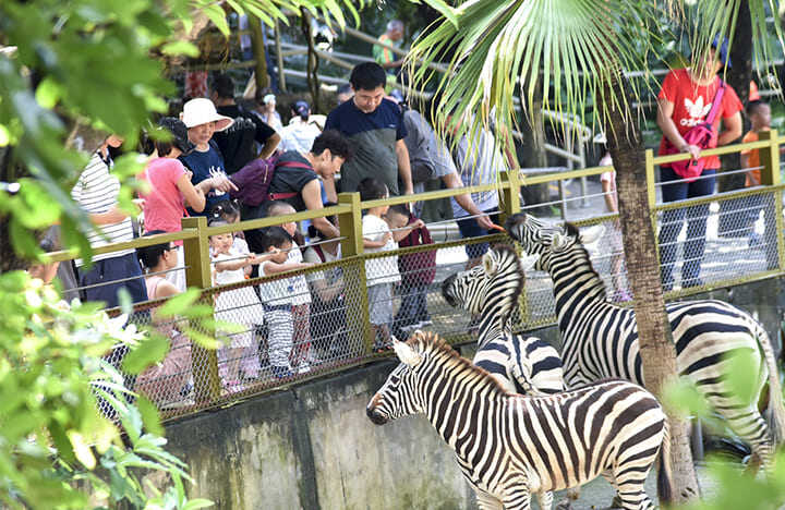 復活節去邊好?適合情侶閨蜜、親子出遊活動推介:精選一日遊/Staycation/復活節旅行團 復活節去邊好?適合情侶閨蜜、親子出遊活動推介:精選一日遊/Staycation/復活節旅行團