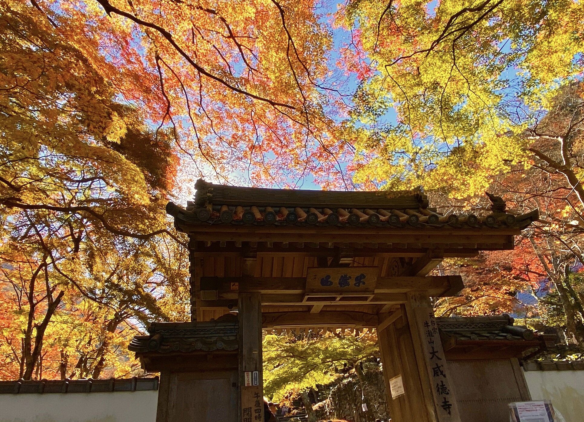 日本紅葉2023|預測公開!5大賞楓好去處推介+最佳觀賞時間 日本紅葉2023|預測公開!5大賞楓好去處推介+最佳觀賞時間