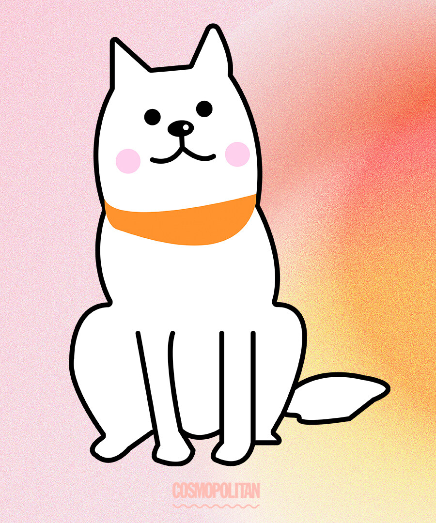 超準心理測驗｜憑直覺選動物 立即測出你的隱藏性格！