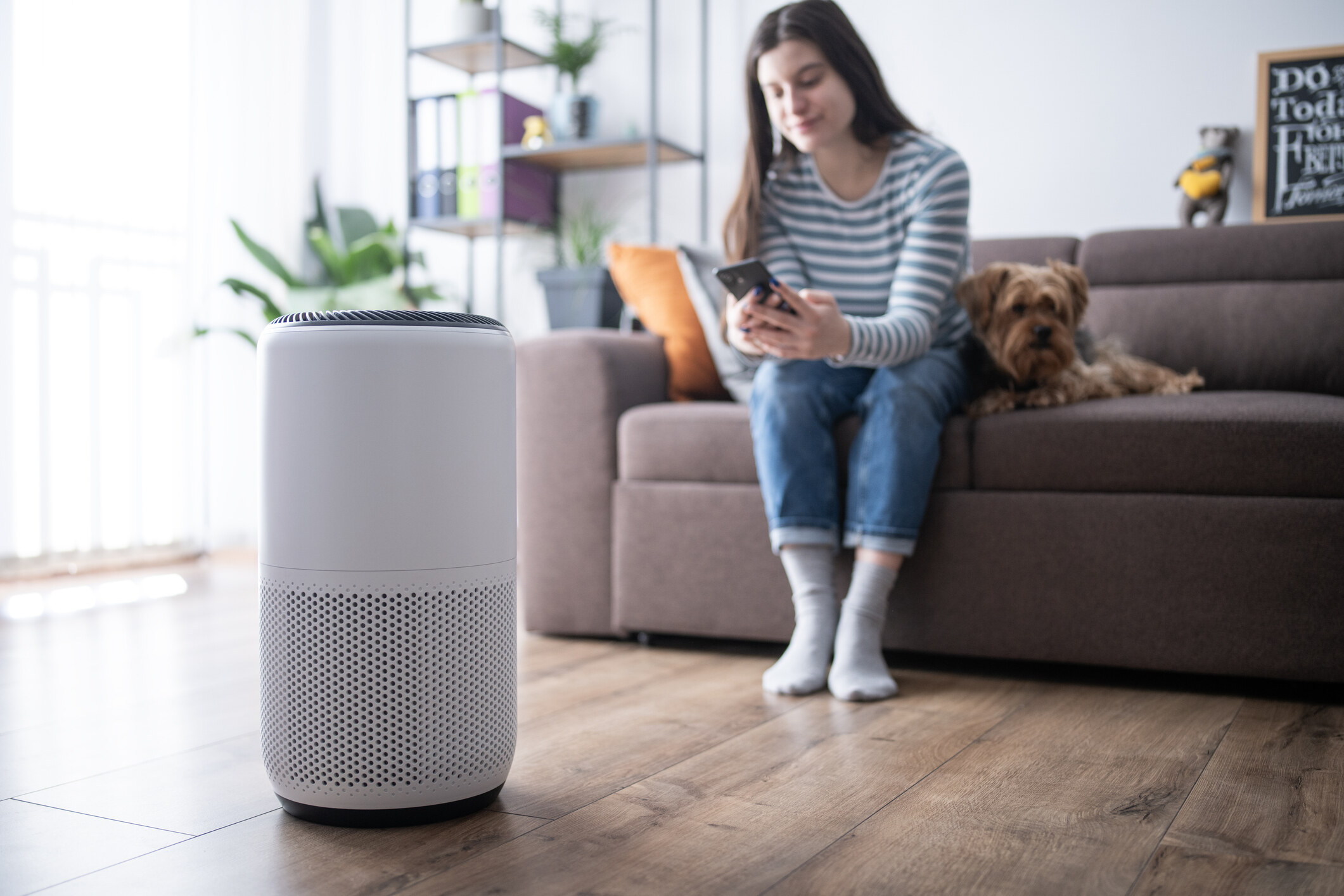 消委會空氣清新機|小型更適合香港家居!8大品牌型號:Philips/Dyson/小米等 消委會空氣清新機|小型更適合香港家居!8大品牌型號:Philips/Dyson/小米等