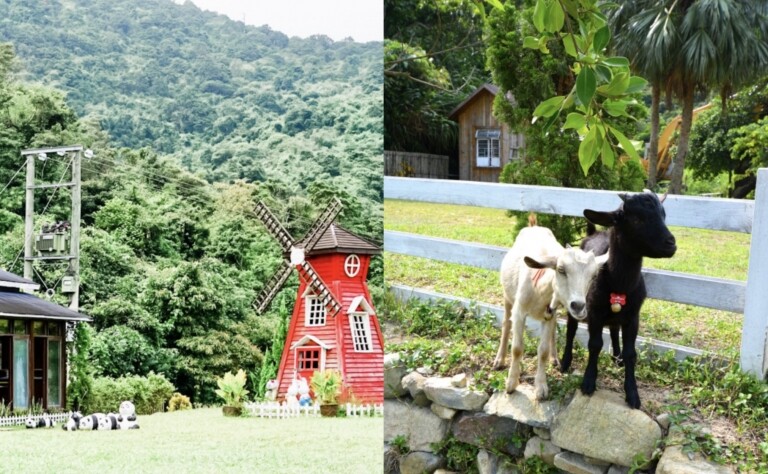 郊外好去處｜10大室外體驗：有機農莊、戶外樂園、觀星露營、餵小白兔