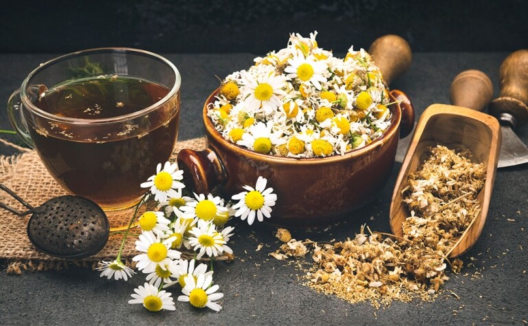 洋甘菊茶功效｜舒緩放鬆、寧神安眠、減輕痛症｜附精油及乳霜推介