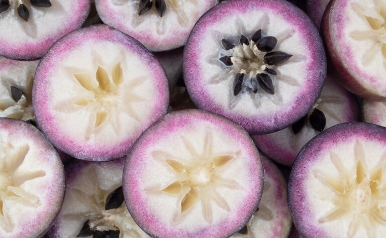 紫鑽牛奶果VS黃金果｜營養師拆解功效、熱量、價格和吃法：改善皮膚必食！