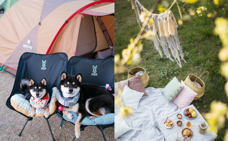 新手露營用品清單：Go Wild 保暖衣物、Coleman露營帳篷、Pinkoi野餐用品推介