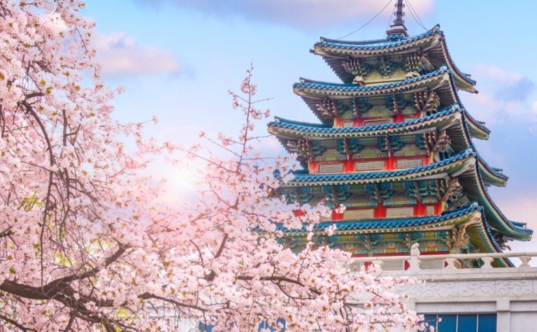 2020韓國櫻花預測及指南首爾以外花季新景點：京畿道4大賞櫻好去處