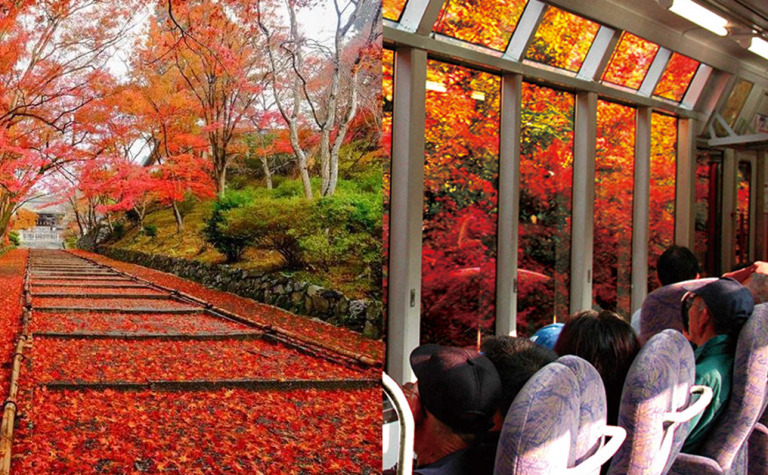 【日本紅葉2019】16個京都紅葉名所：紅葉天空之鏡、賞楓列車、滿地紅逼爆鏡頭！