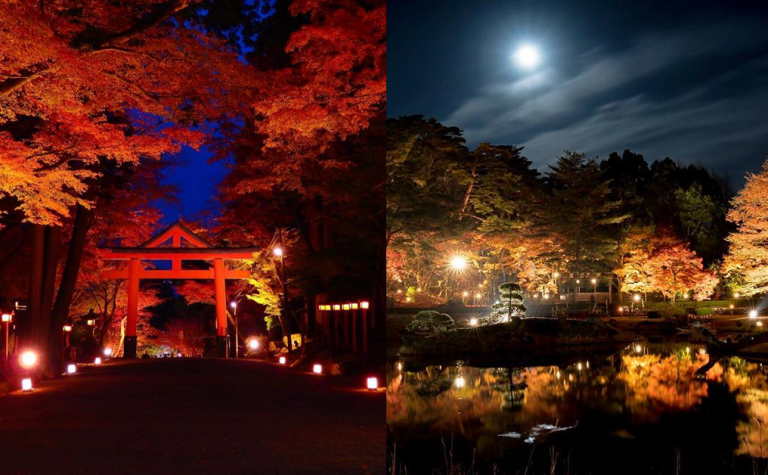 【日本紅葉2019】不能錯過的夜楓景點！大阪、東京、京都等7大市縣榜上有名！