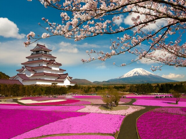 日本櫻花