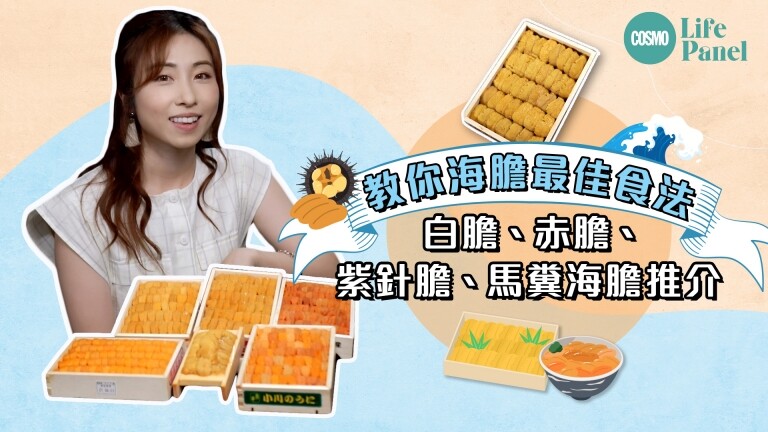 香港海膽訂購及食法推介〡馬糞海膽、白膽、紫針膽、赤海膽配紫菜以外的選擇