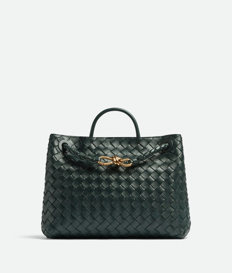 Bottega Veneta中號Andiamo手袋 Bottega Veneta中號Andiamo手袋