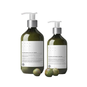 ROHASEED - 茶籽調理洗髪護髮套裝 ROHASEED - 茶籽調理洗髪護髮套裝