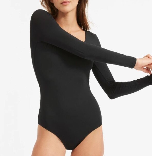 Everlane The Long-Sleeve V-Neck Bodysuit