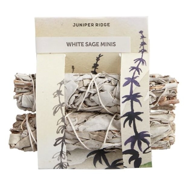 Slip Pure Silk Large Scrunchies - 多色 Slip Pure Silk Large Scrunchies - 多色