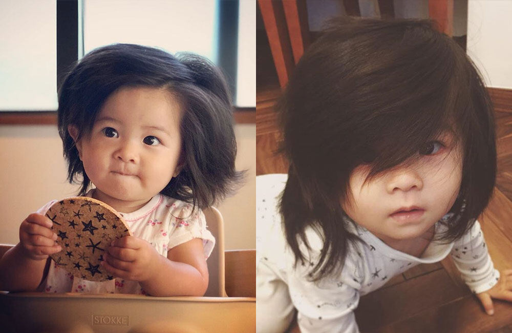 日本毛孩 Baby Chanco 天生擁有一頭純天然豐厚的頭髮