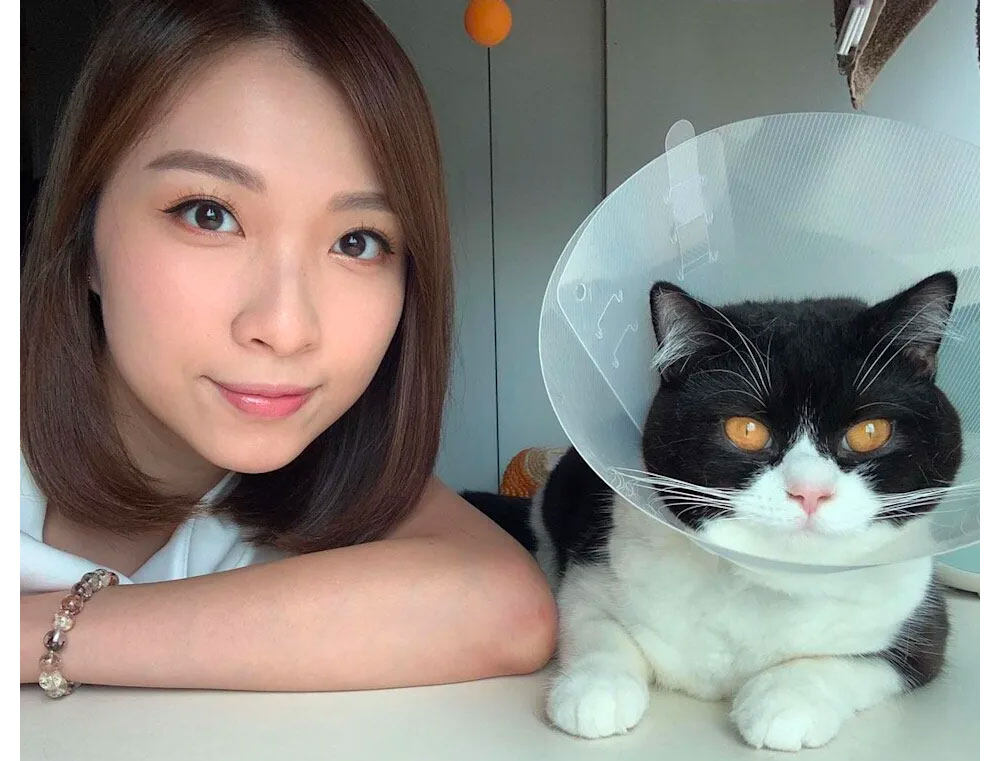 賴凱靖的IG已設為非公開，似乎想低調過活，只有update她的家貓——師兄的近況。