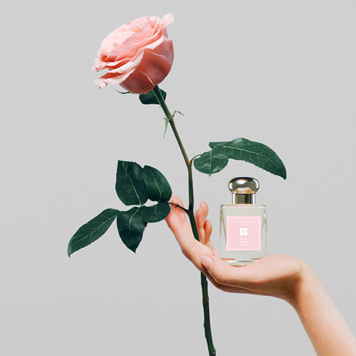 給她/他的情人節禮物提案！8款香氛及玫瑰鮮花禮盒紀念浪漫愛情：女朋