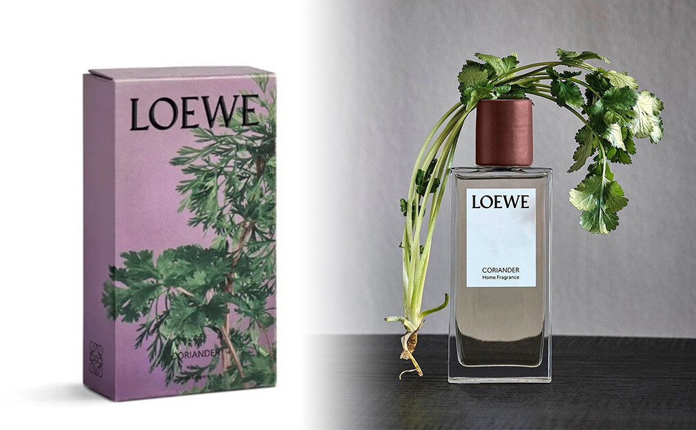 Loewe 2020居家香氛系列﹕芫茜香氛
