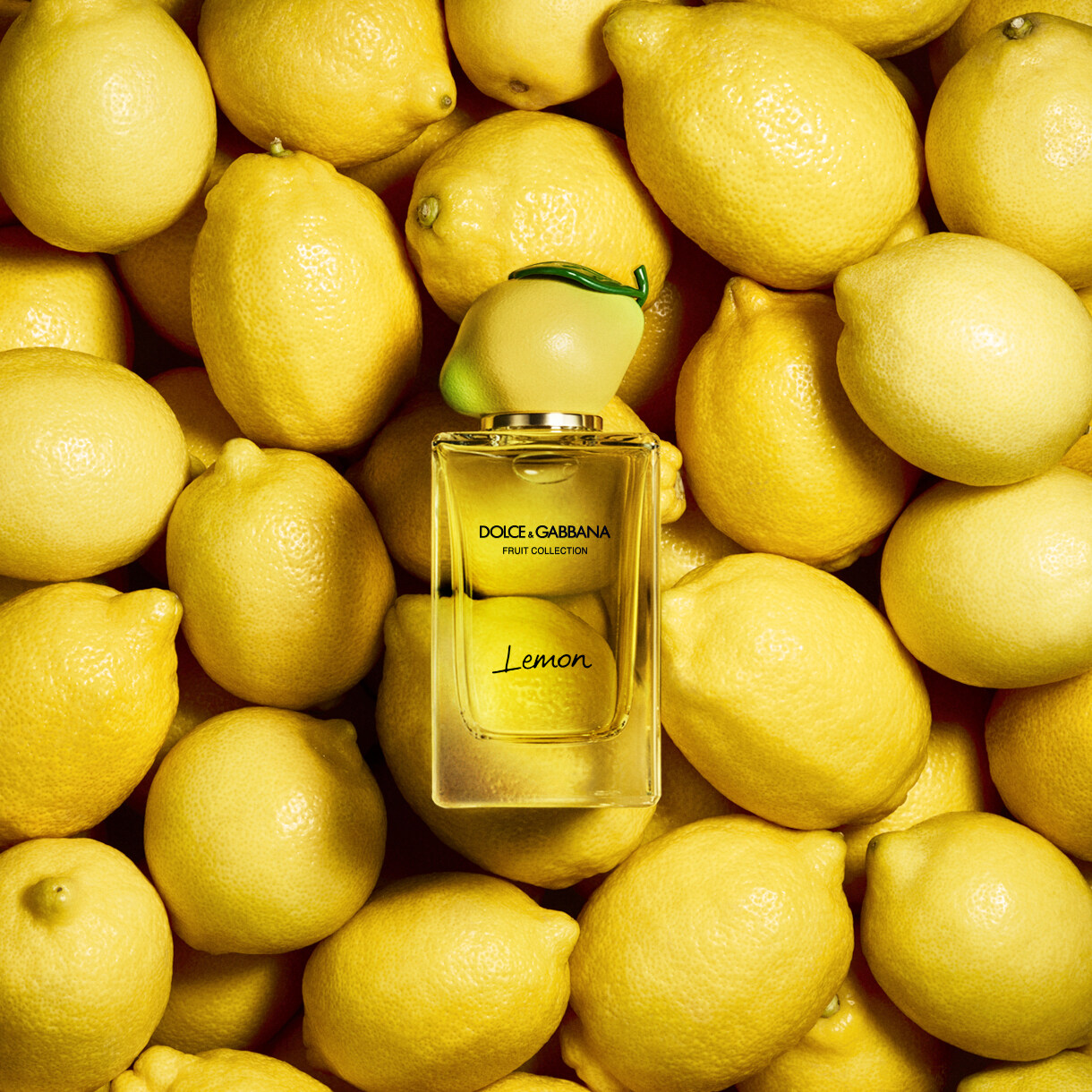 16款香水推薦2021｜質感小眾香水品牌｜Le labo、Maison Margiela、Granhand、Byredo、Diptyque…
