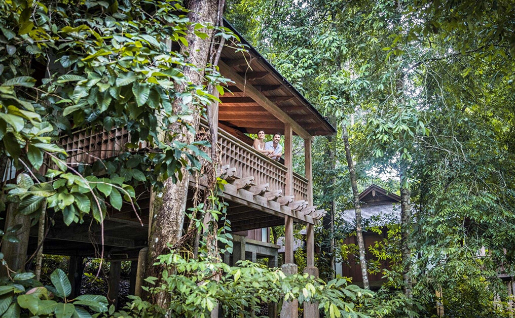 被擁有一千萬年歷史的熱帶雨林包圍！體驗雨林別墅