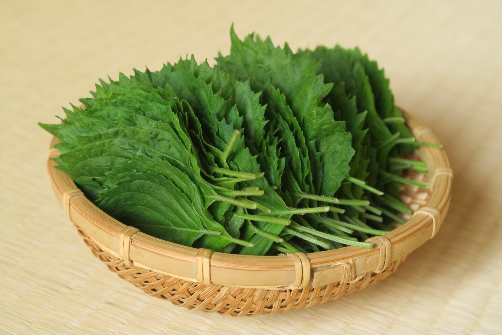 紫蘇葉功效|抗衰老必食!中醫拆解3大好處及食譜推介:解胃氣/增強抵疫 紫蘇葉功效|抗衰老必食!中醫拆解3大好處及食譜推介:解胃氣/增強抵疫