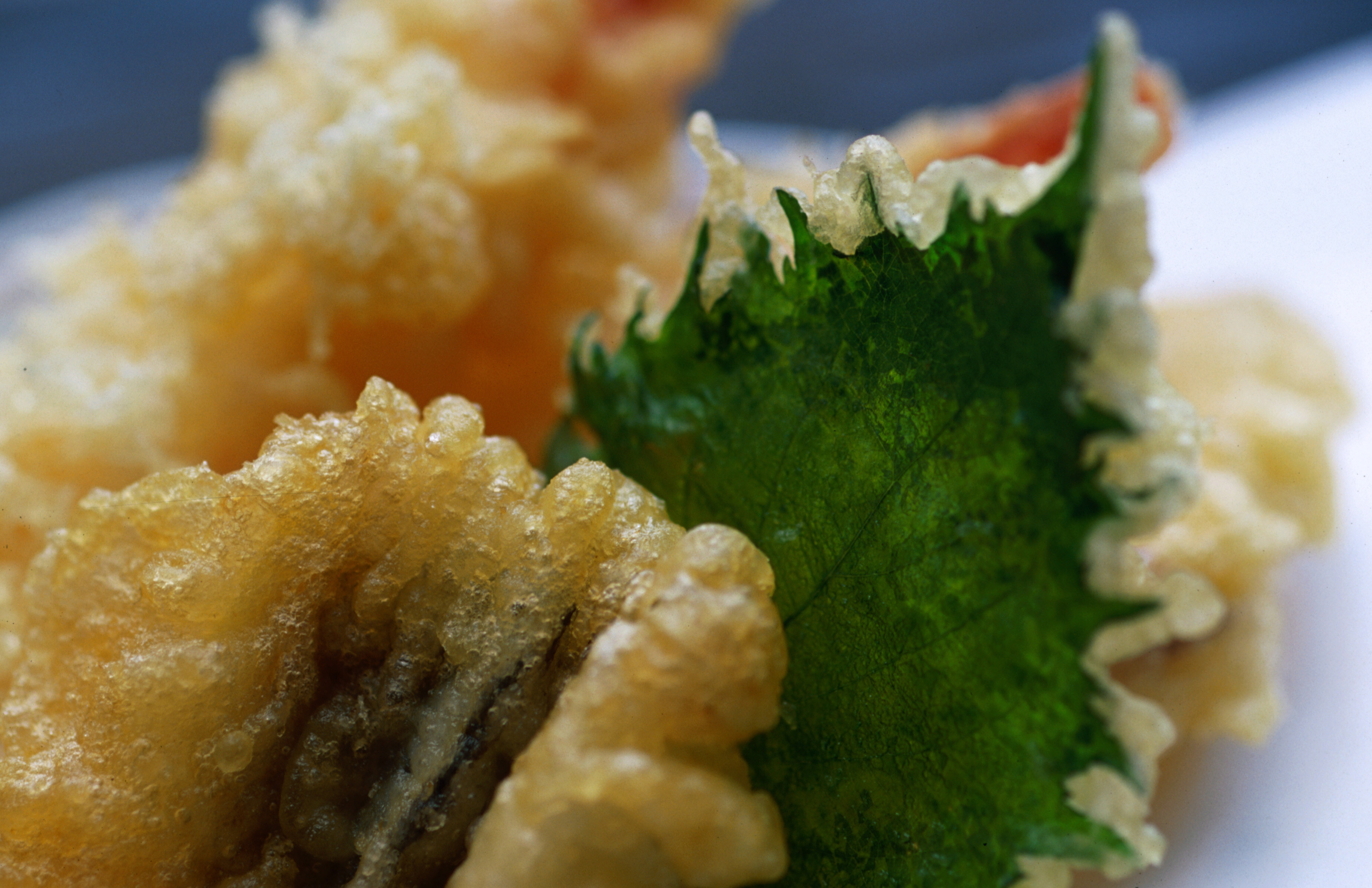 紫蘇葉功效|抗衰老必食!中醫拆解3大好處及食譜推介:解胃氣/增強抵疫 紫蘇葉功效|抗衰老必食!中醫拆解3大好處及食譜推介:解胃氣/增強抵疫