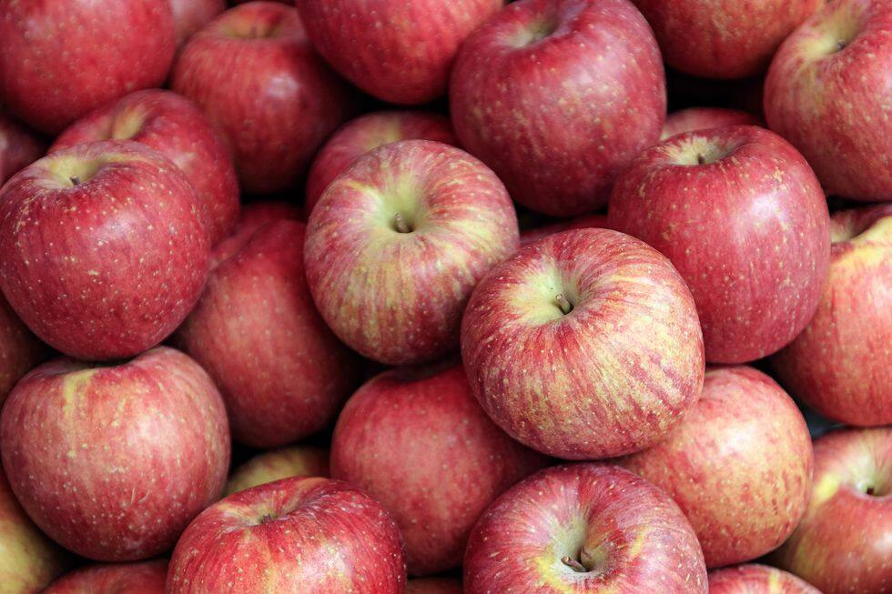 營養師減肥餐單4：蘋果