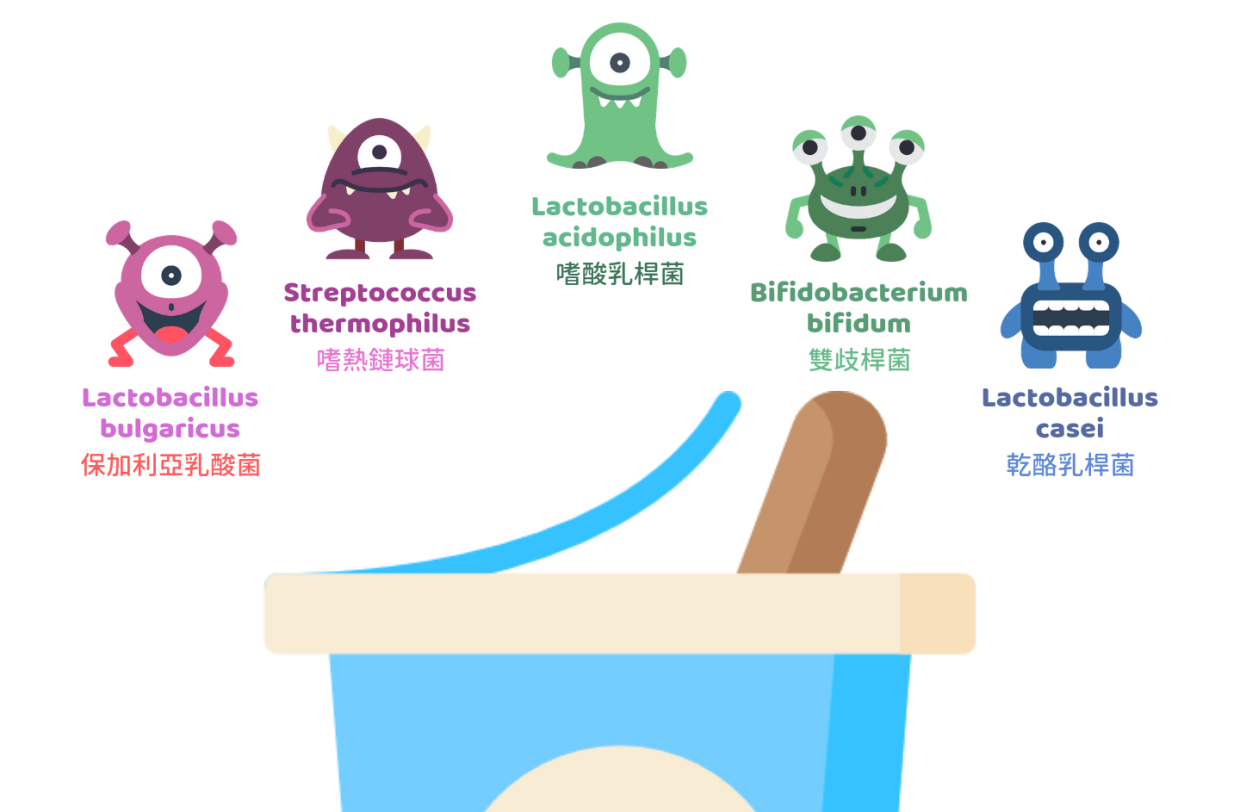 乳酪好處：維持骨骼健康、補充活性益生菌