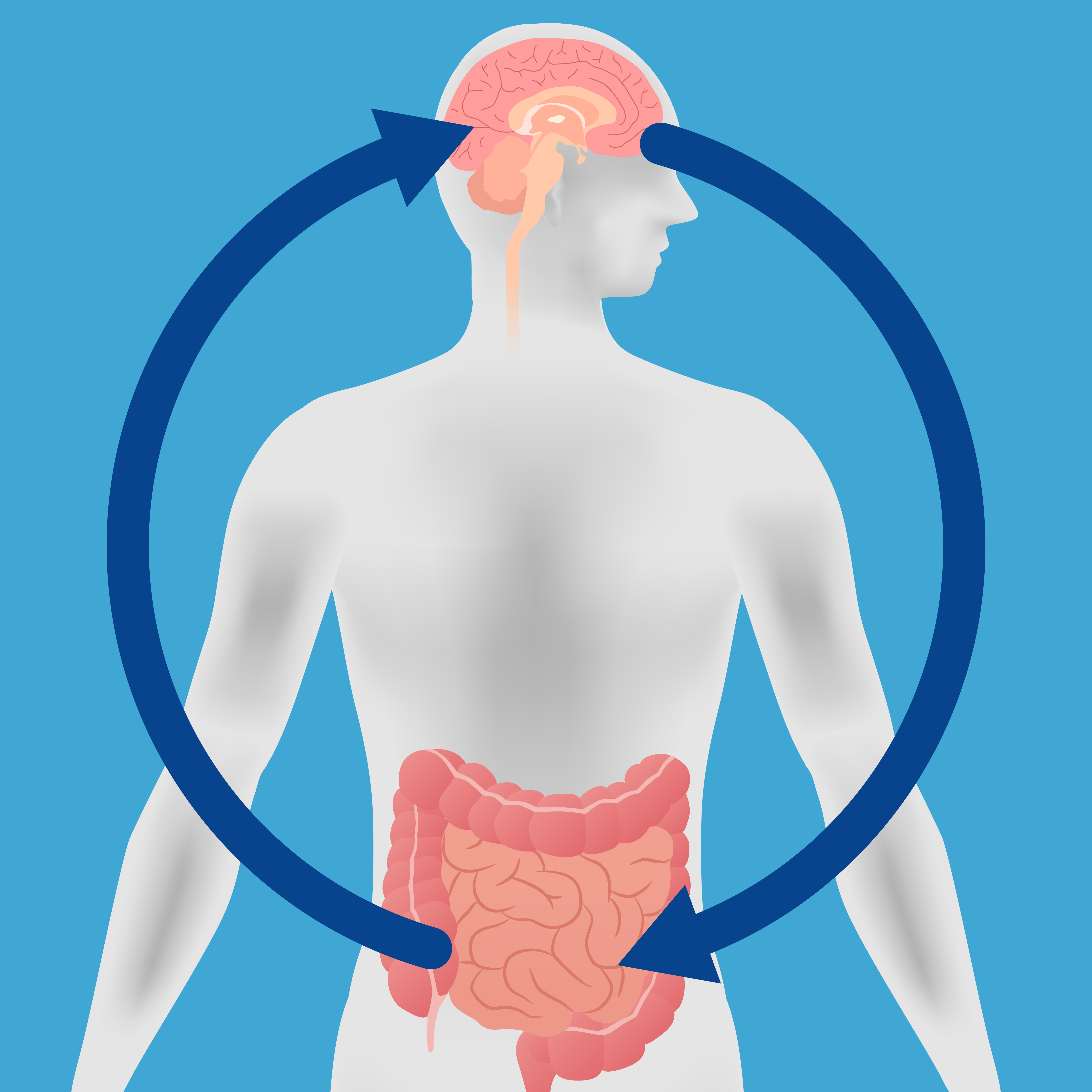 情緒化的大腸你知道嗎？腸道是情緒化的器官。既直接受情緒影響，亦可以