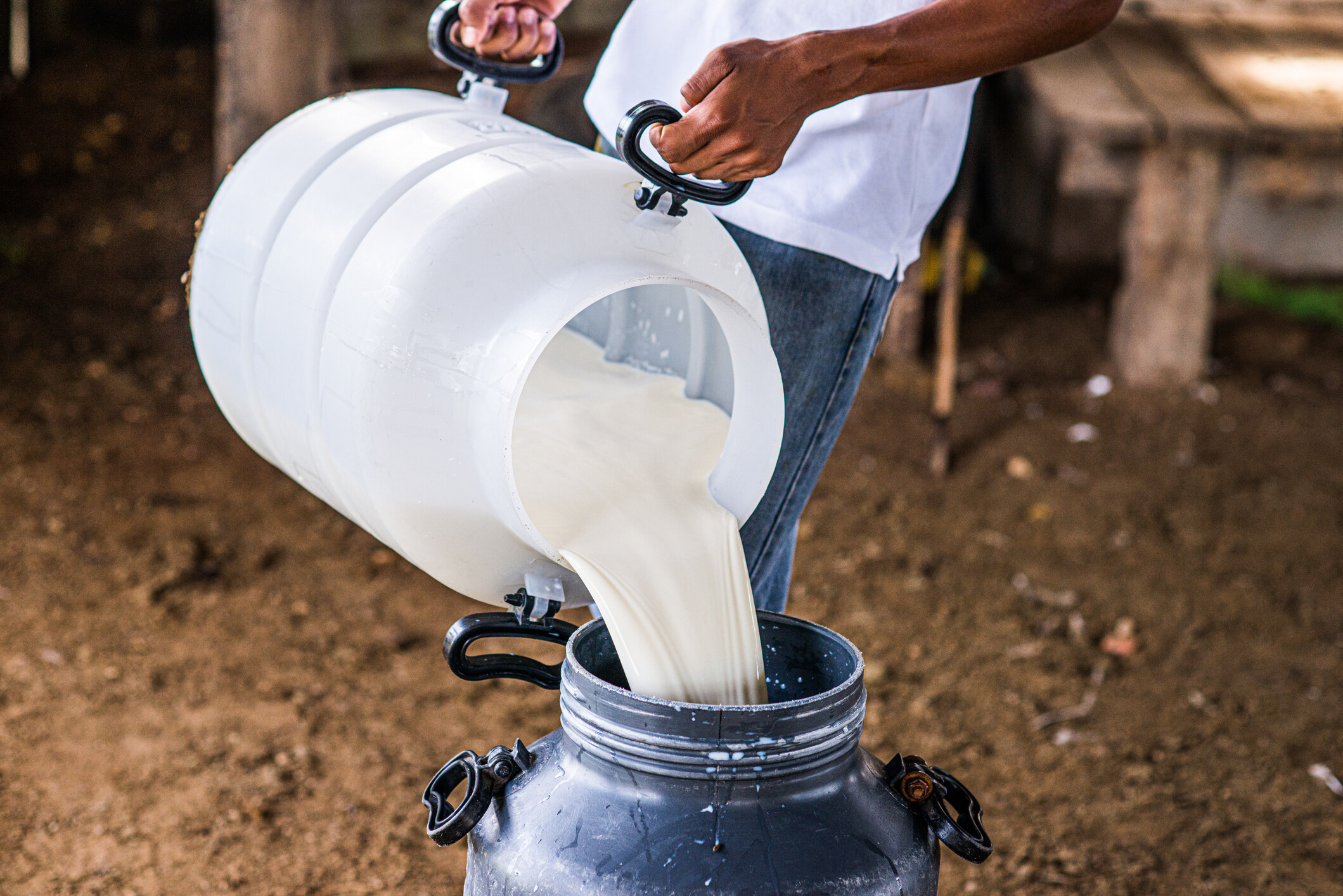 豆奶｜植物奶比牛奶更健康？常見種類營養及好處公開：熱量低至40kcal！