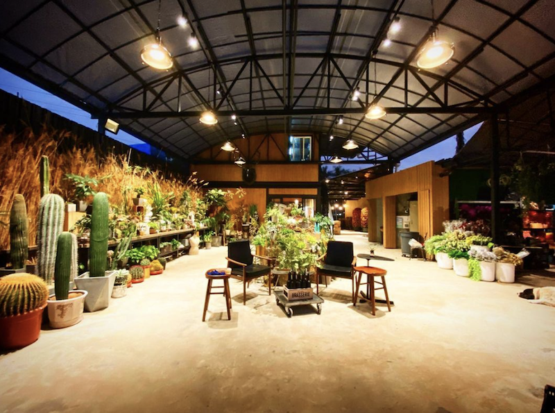 4間香港多肉植物店推介｜微景植物、羊毛花盆｜附隱世仙人掌植物園好去
