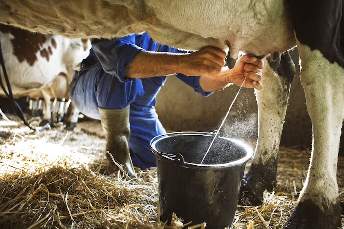 杏仁奶、燕麥奶、豆奶哪款植物奶好處最多？營養師Tips：最緊要留意營養標籤