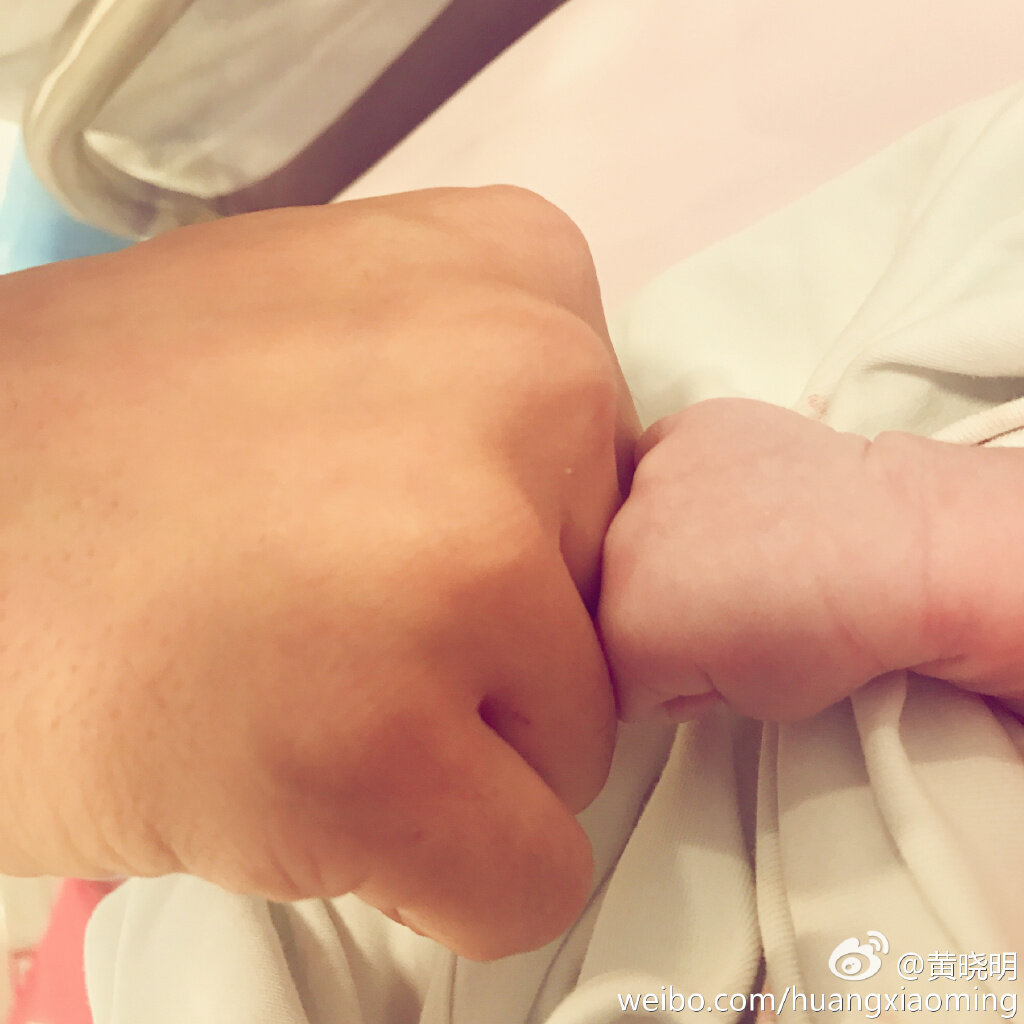 angelababy-celebrity-family-marriage-celebritybabies