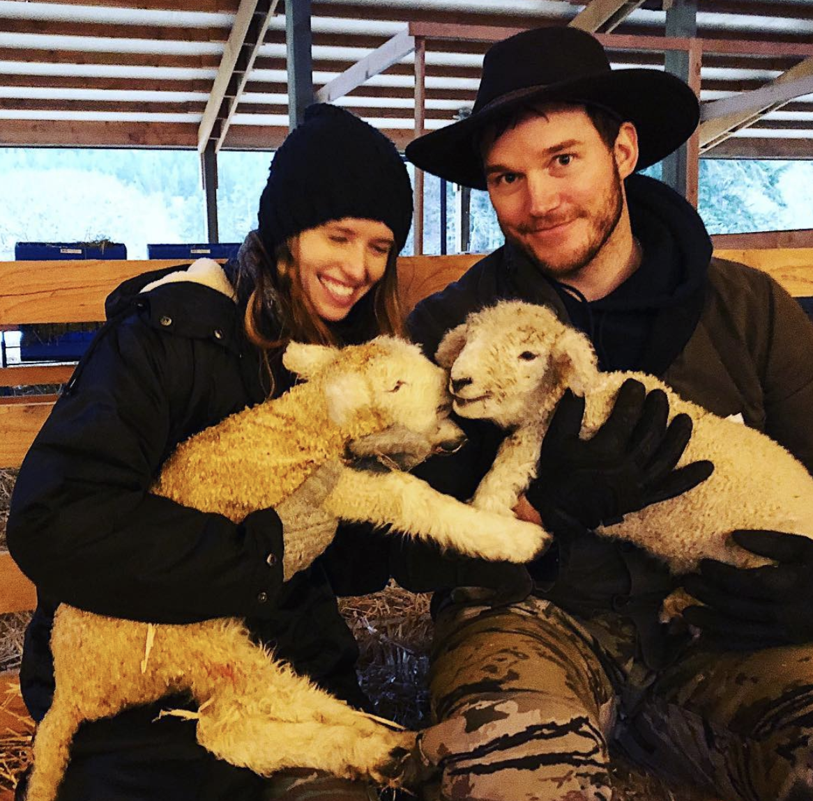 復仇者「星爵」甜娶阿諾舒華辛力加女兒 Chris Pratt美國完婚:Best day of our lives! 復仇者「星爵」甜娶阿諾舒華辛力加女兒 Chris Pratt美國完婚:Best day of our lives!